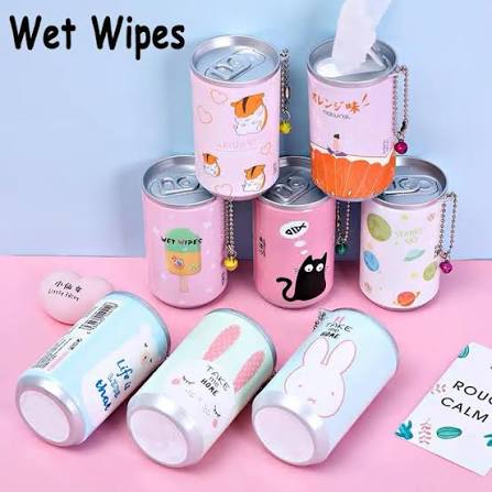 Can Wipes